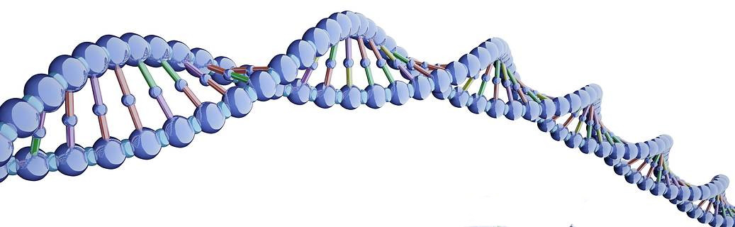 dna